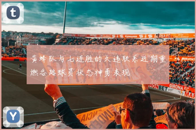 黄蜂队与七连胜的久违联系近期重燃各路球员状态神勇表现